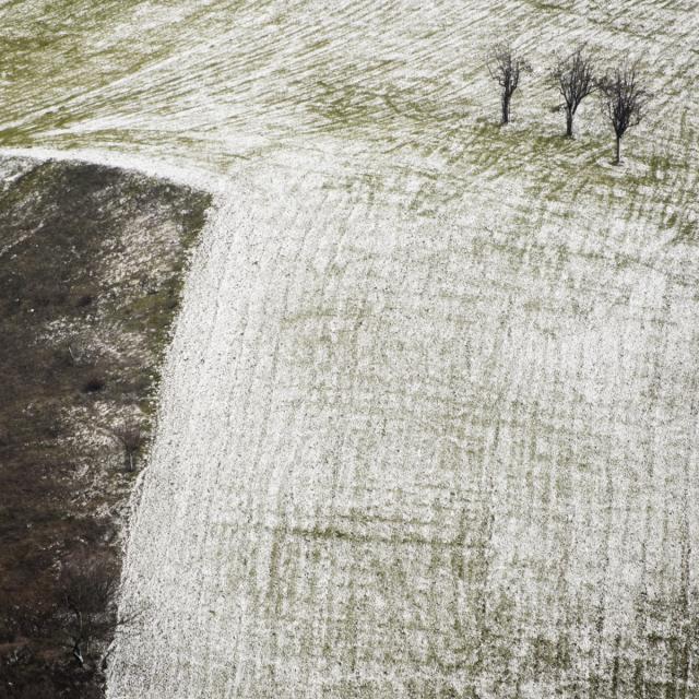A snowfall (05)